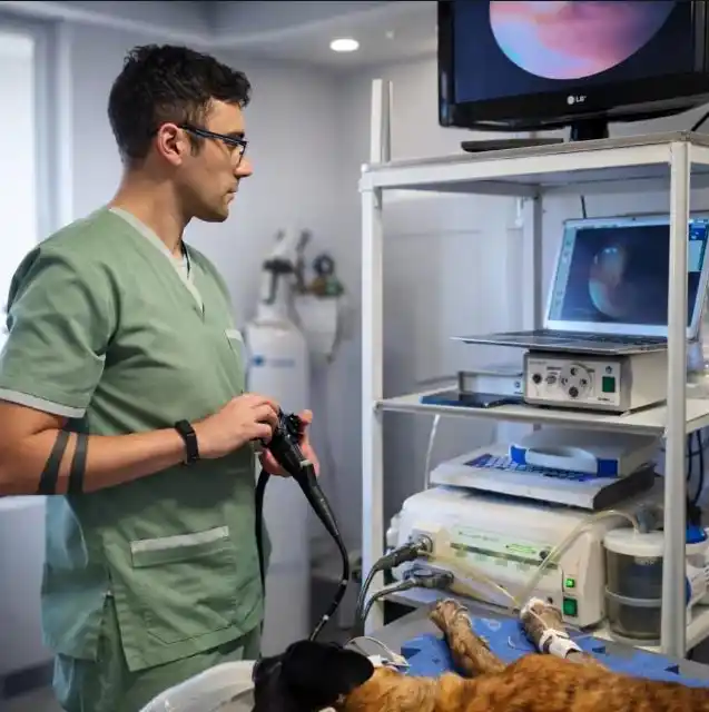 Dr. Jorge Tourres