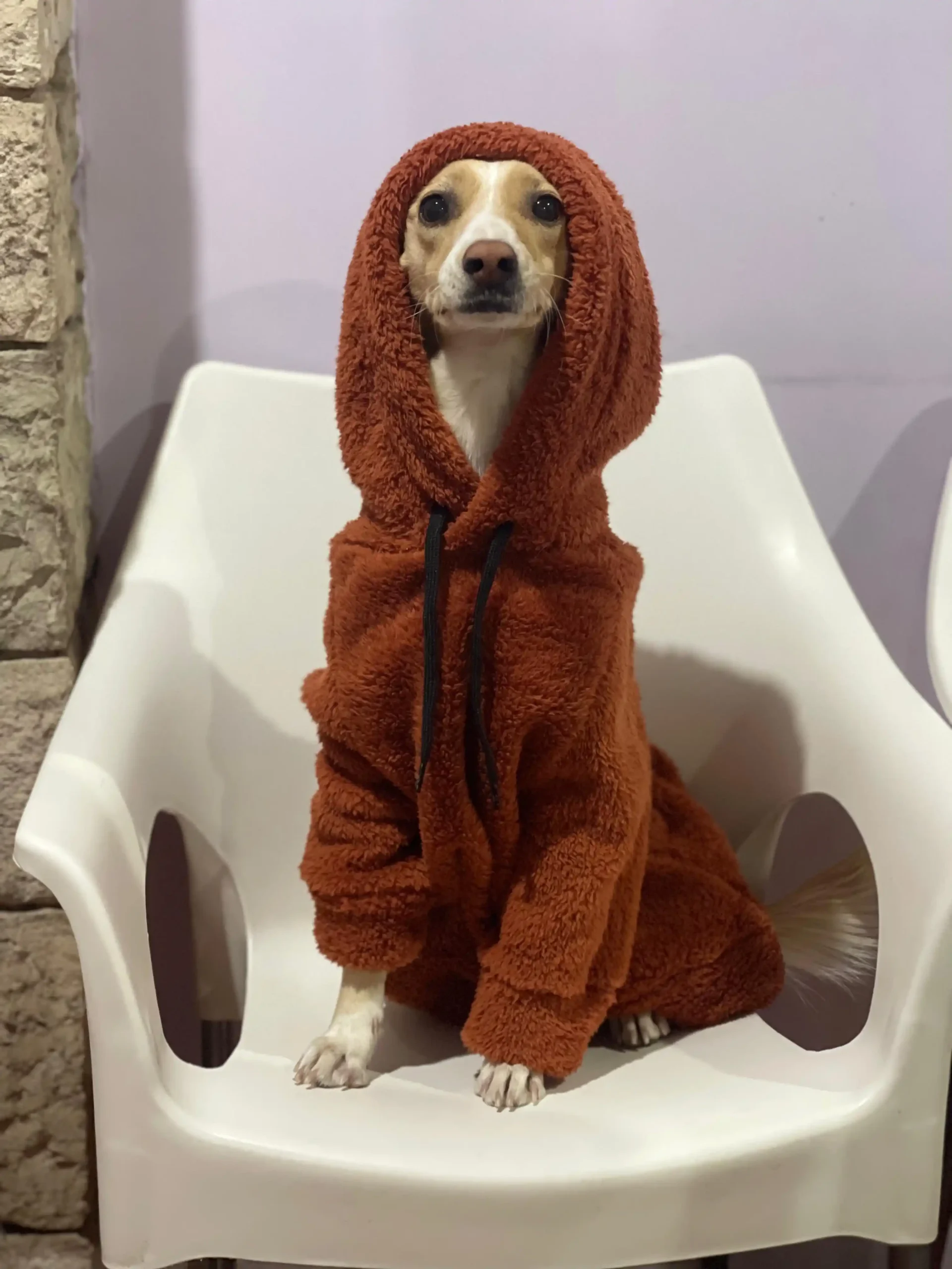 Mascota-hero-portada