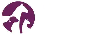 Logo-besares