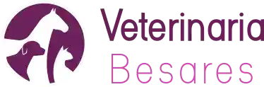 Logo-besares-alt2